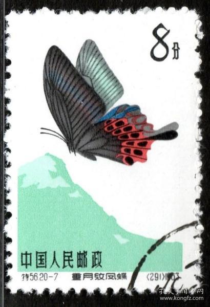 特字头邮票 新中国邮票 邮票税票